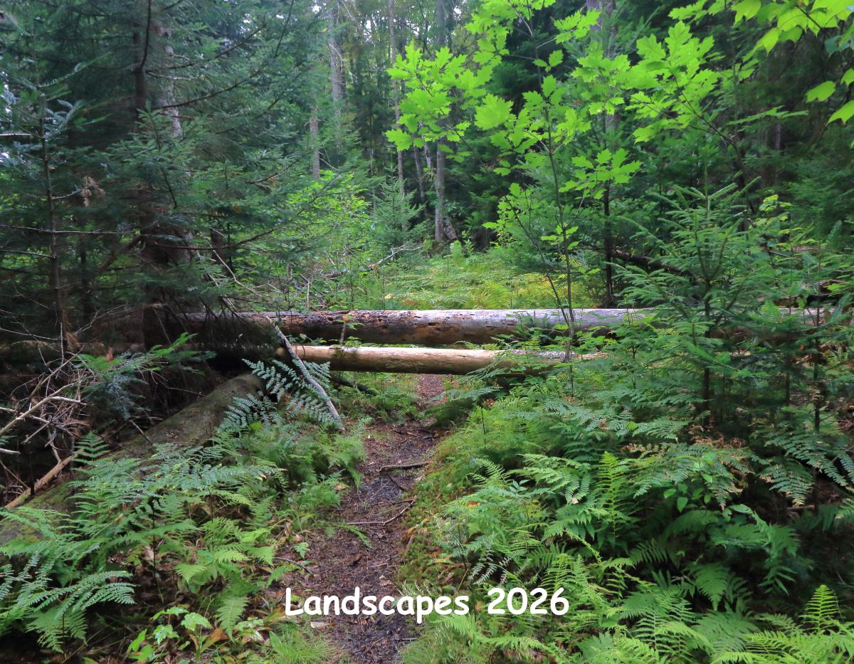 Landscape 2026