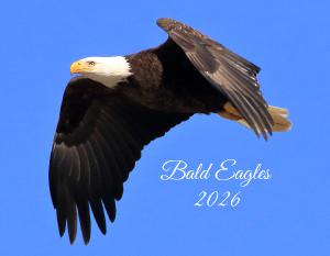 Bald Eagle Calendar