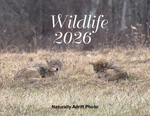 Wildlife 2026