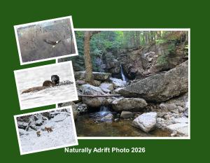 Naturally Adrift Photo 2026