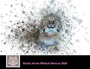 2026 RAWR Calendar