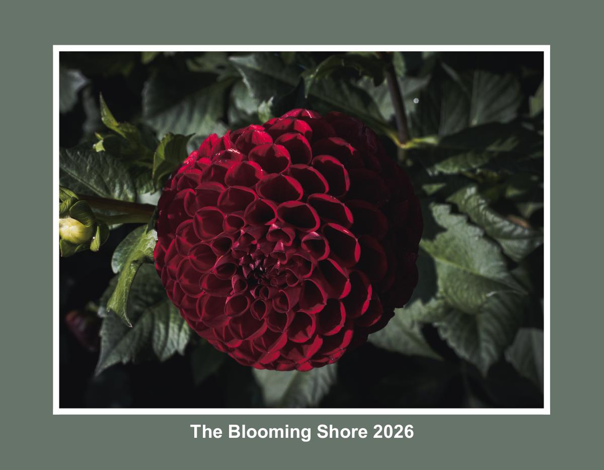 The Blooming shore 2026