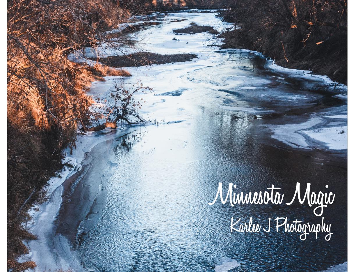 Minnesota Magic photo book