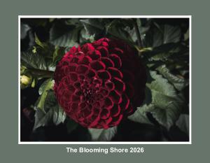 The Blooming shore 2026