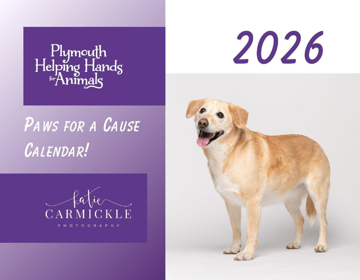 Plymouth Helping Hands for Animals 2026 Calendar