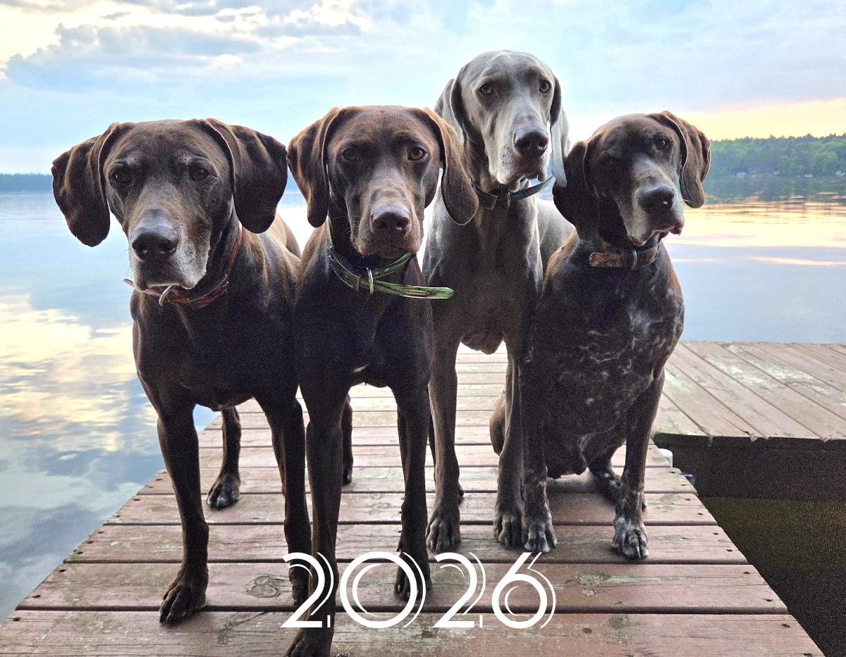 Our Neck of the Woods 2026