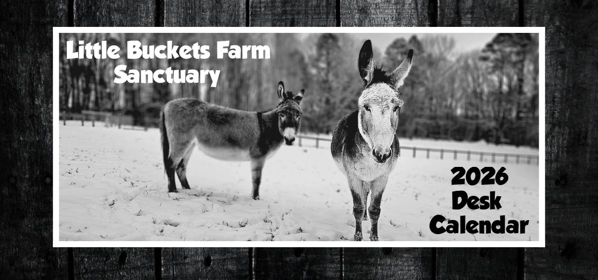 2026 Desk Calendar - Little Buckets Farm Sanctuary