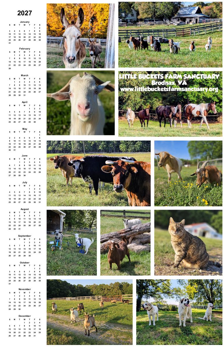 2027 Poster Calendar