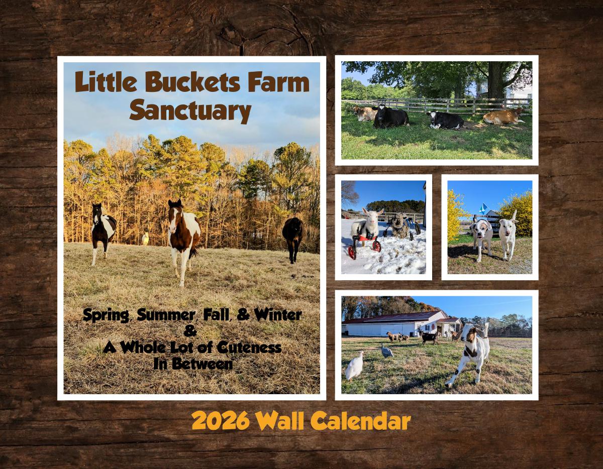 2026 Wall Calendar - Little Buckets Farm Sanctuary