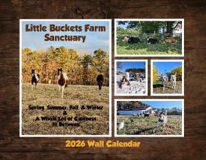 2026 Wall Calendar - Little Buckets Farm Sanctuary