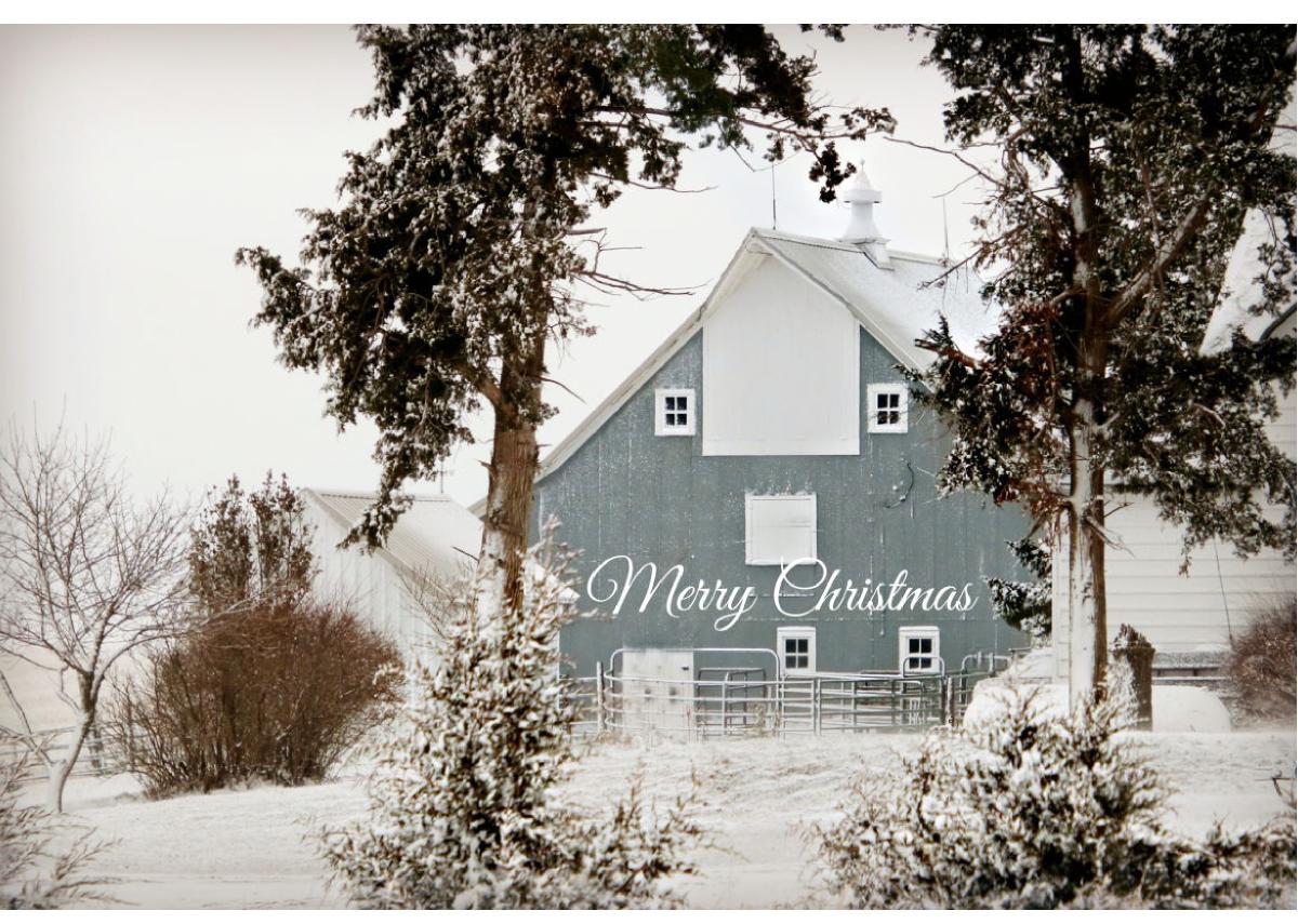 Merry Christmas Hamilton County