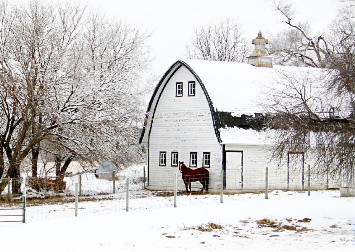 Winter Lancaster County