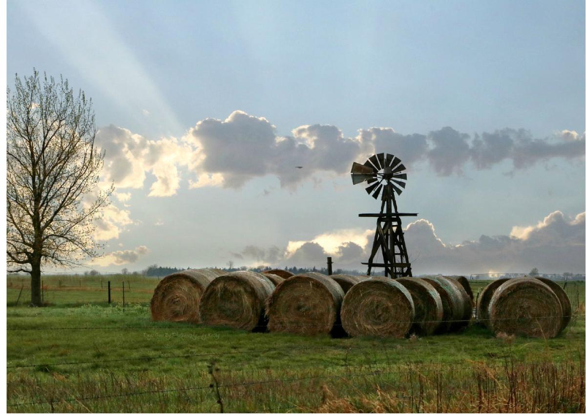 Spring Windmill Merrick County