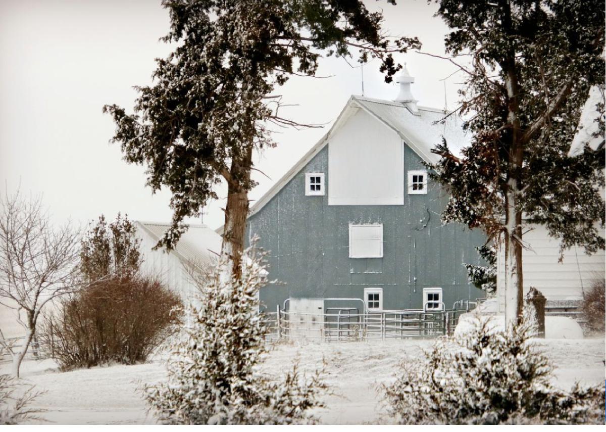 Hamilto County February