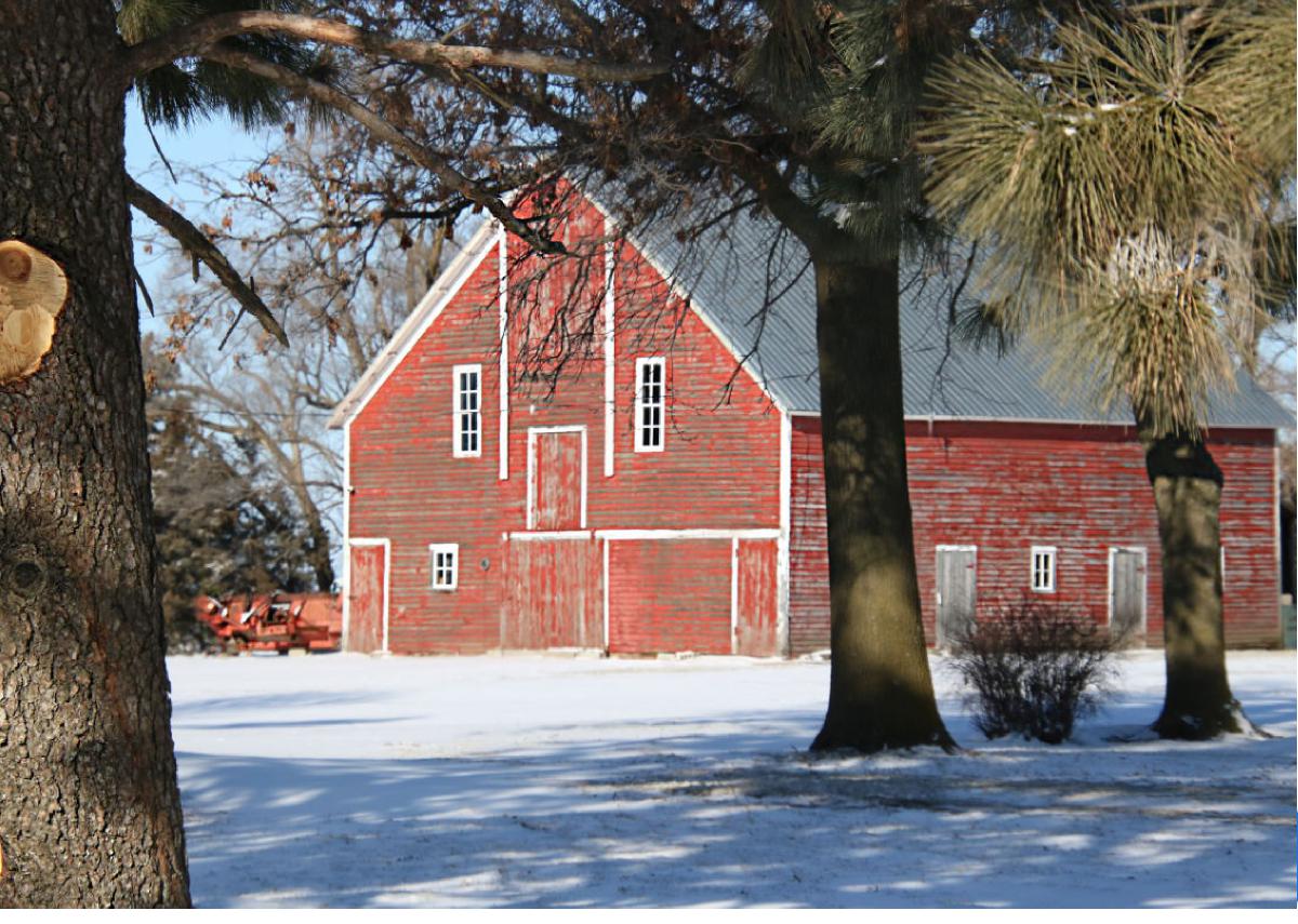 Winter Washington County