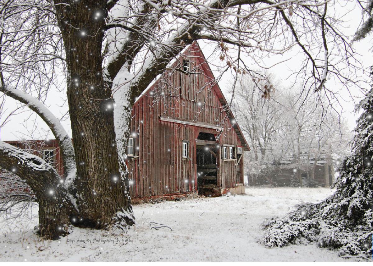 Winter Washington County