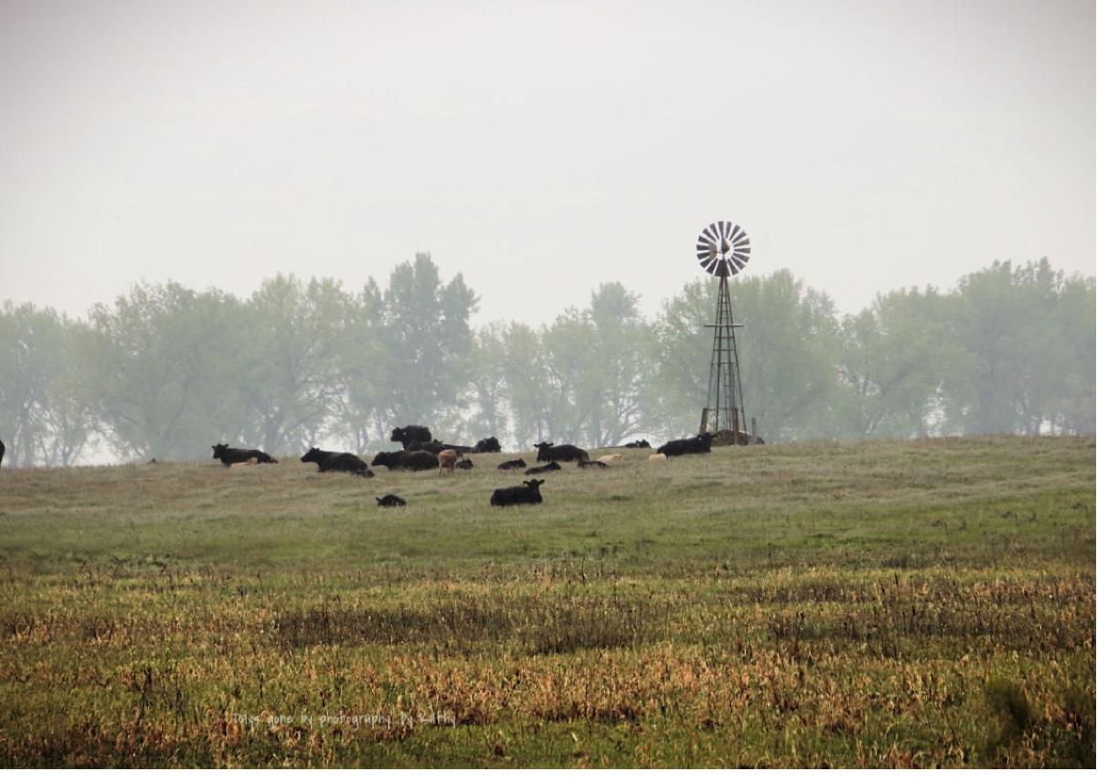 Summer Howard County