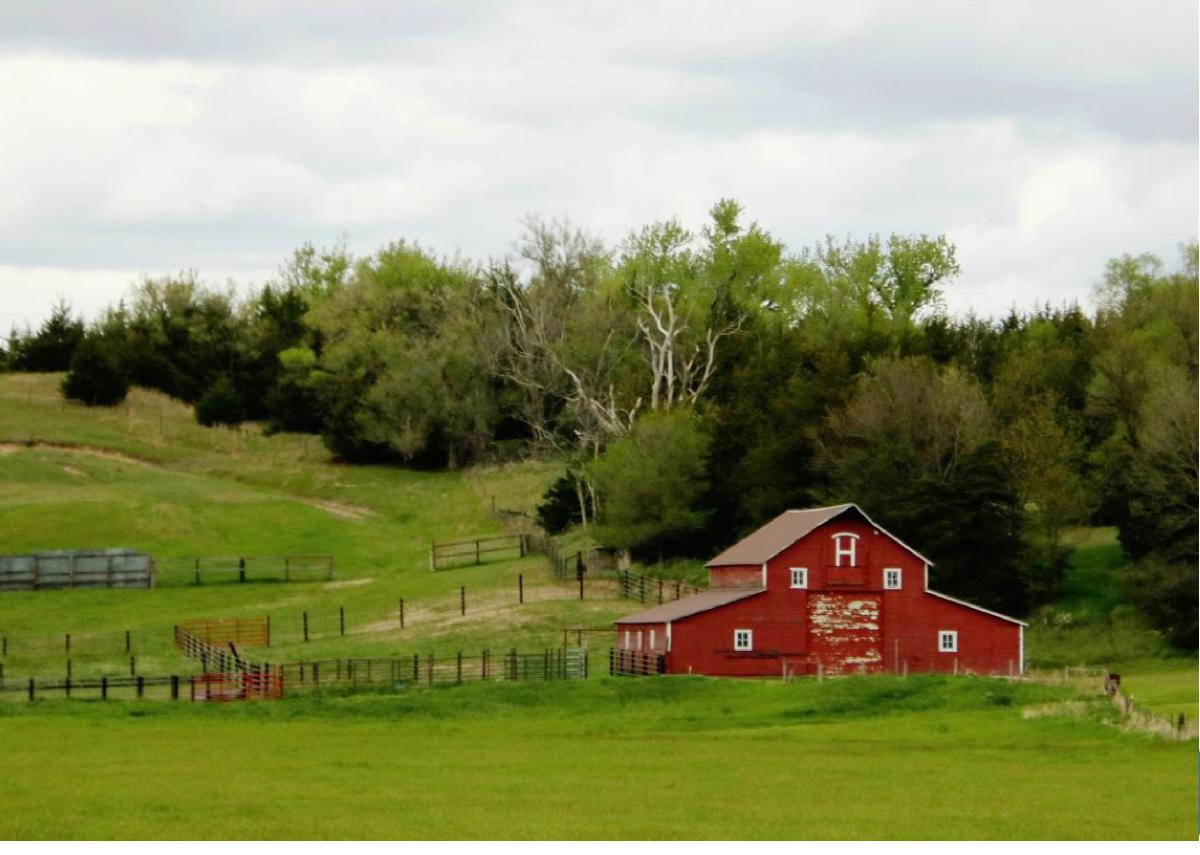 Summer Sherman County