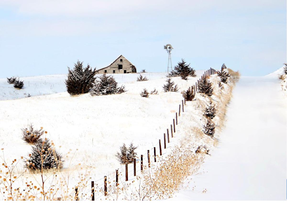 Winter Howard County