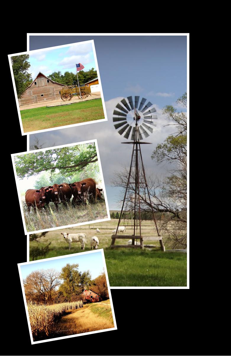 This Is Nebraska Notebook