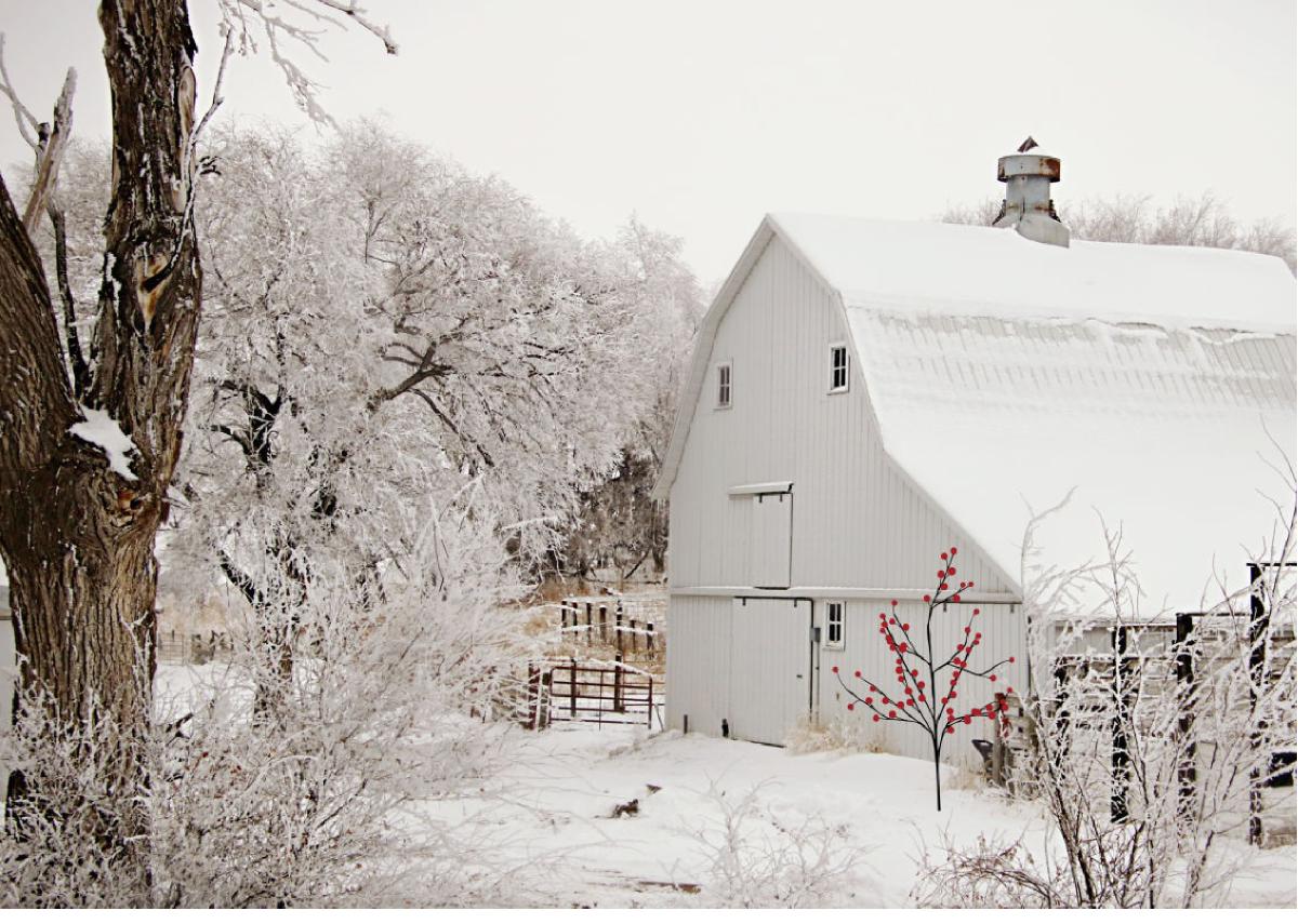 Winter Greeley County