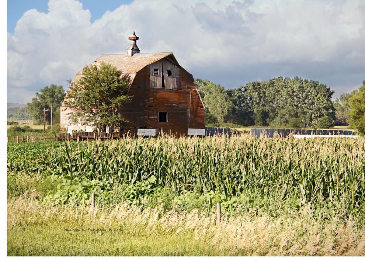 Summer Sherman County