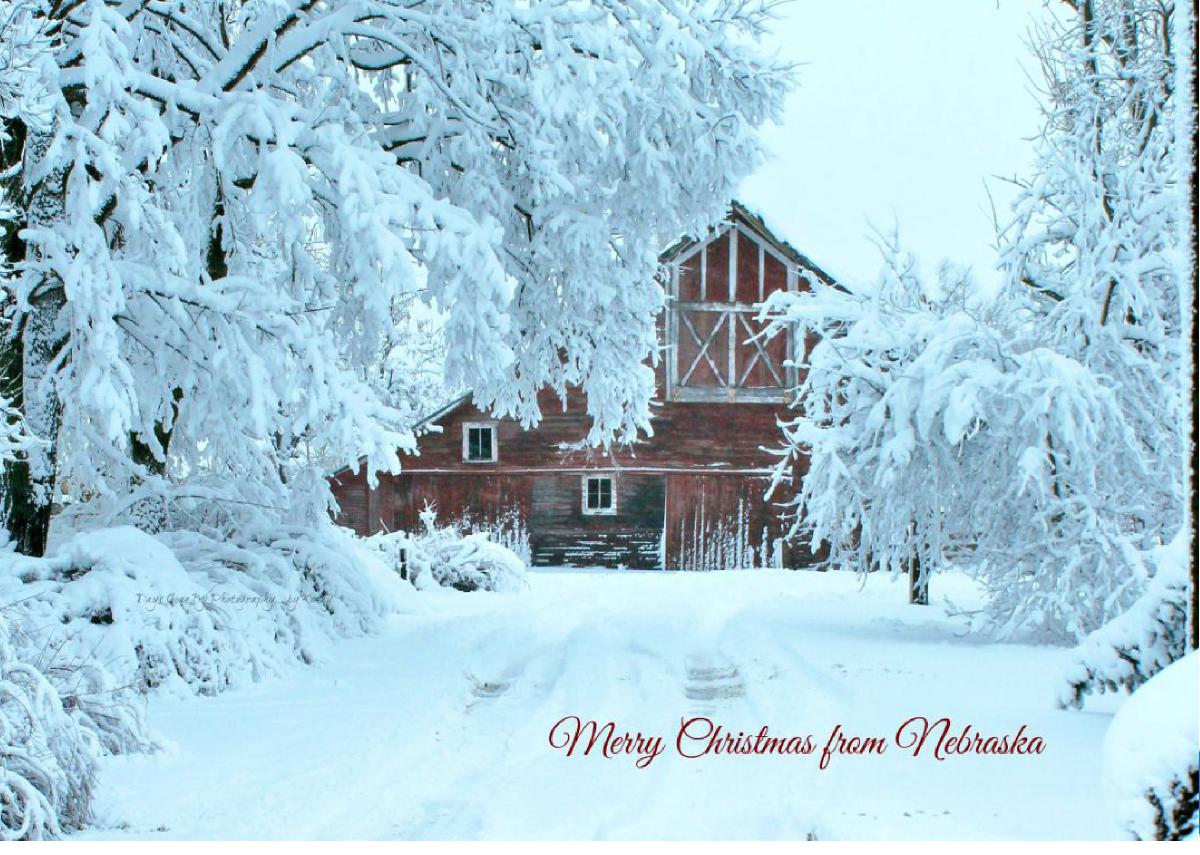 Merry Christmas From Nebraska   Hall County