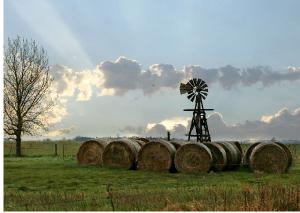Spring Windmill Merrick County