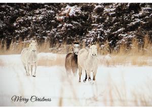 Merry  Christmas Howard County