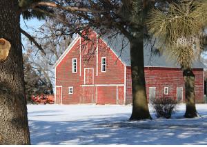 Winter Washington County