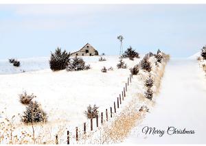 Merry  Christmas Howard County