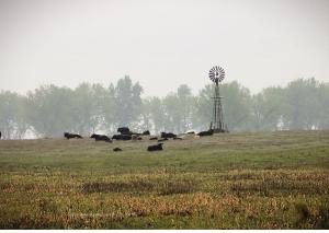 Summer Howard County