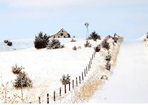 Winter Howard County