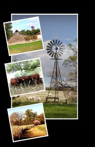 This Is Nebraska Notebook