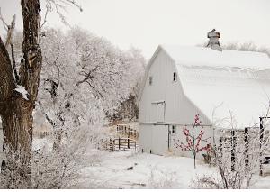 Winter Greeley County