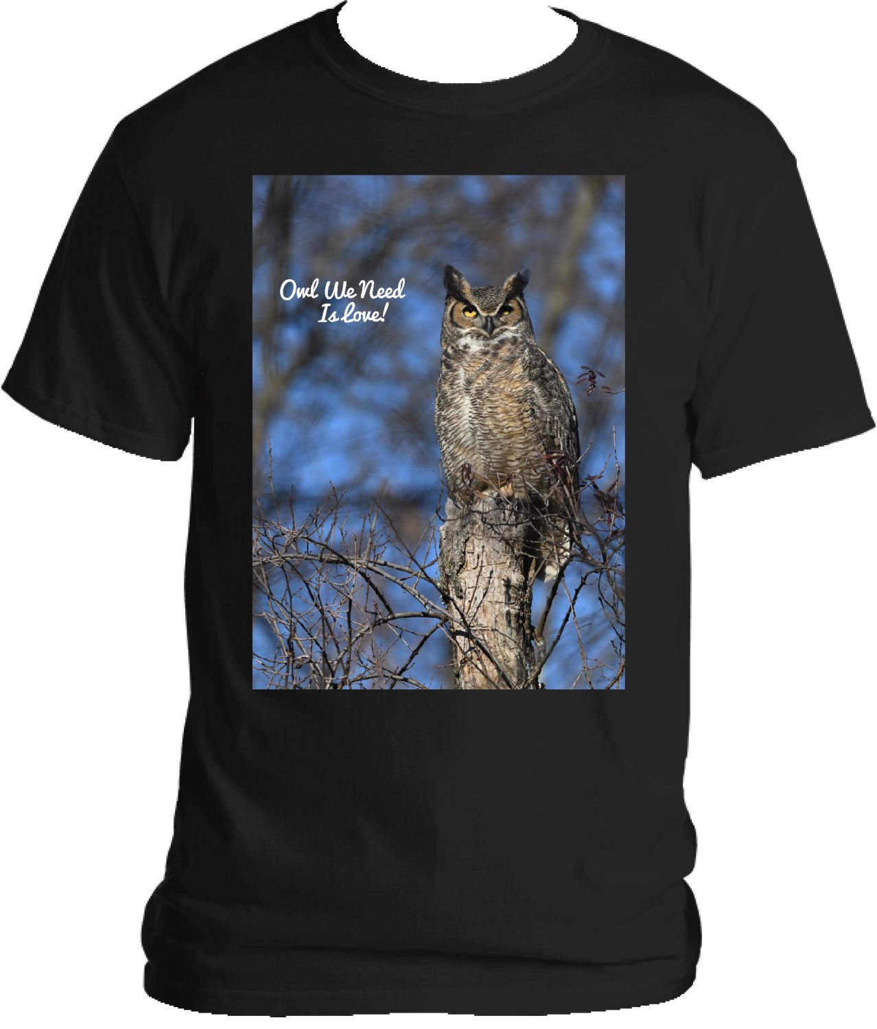 Owl We Need Is Love T-Shirt