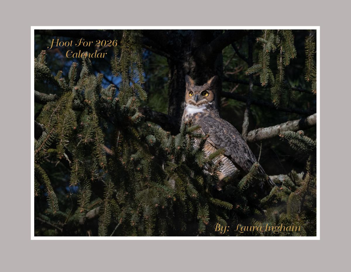 Hoots to 2026 Great Horned Owl Calendar