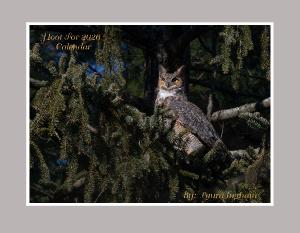 Hoots to 2026 Great Horned Owl Calendar