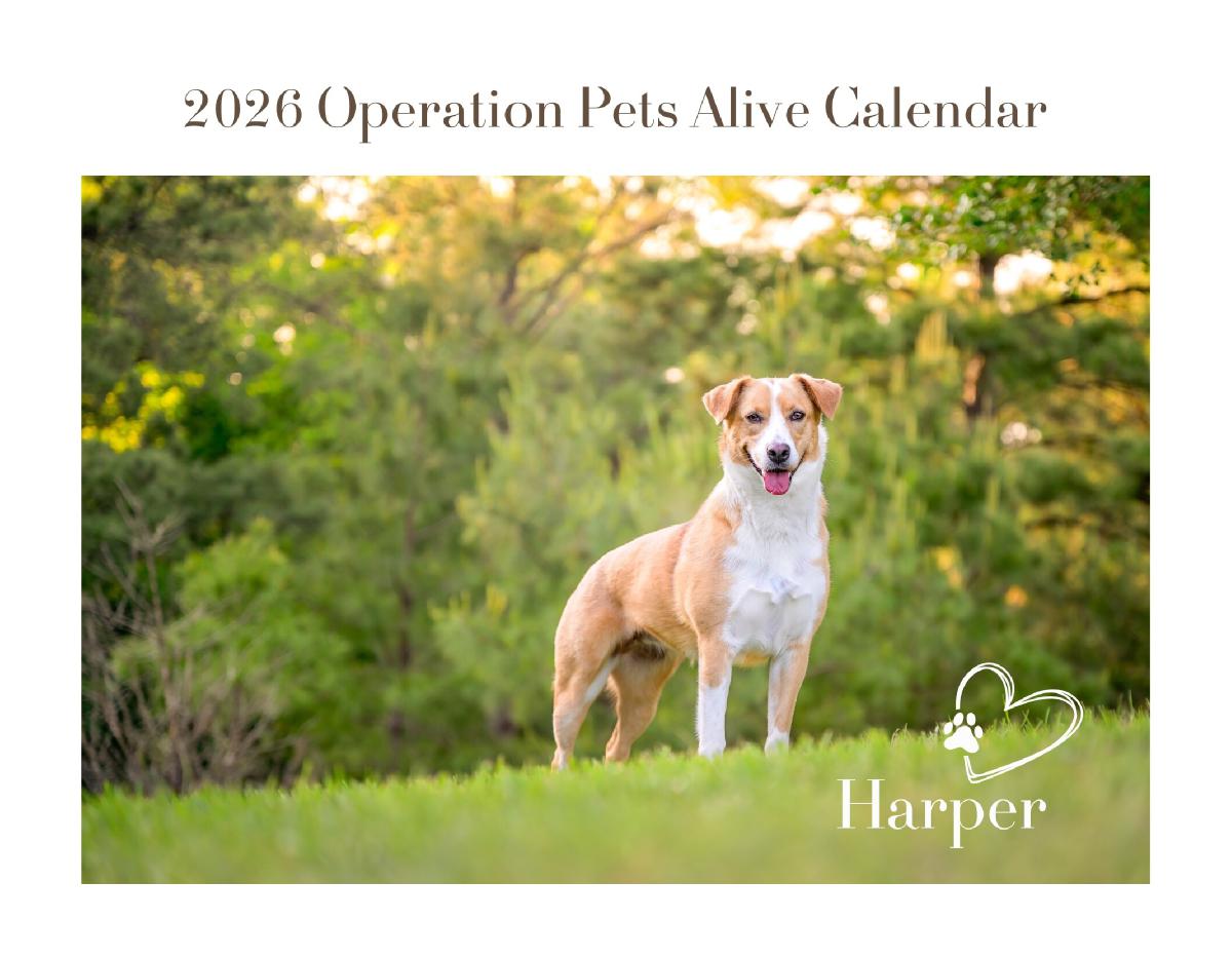 2026 Operation Pets Alive Calendar