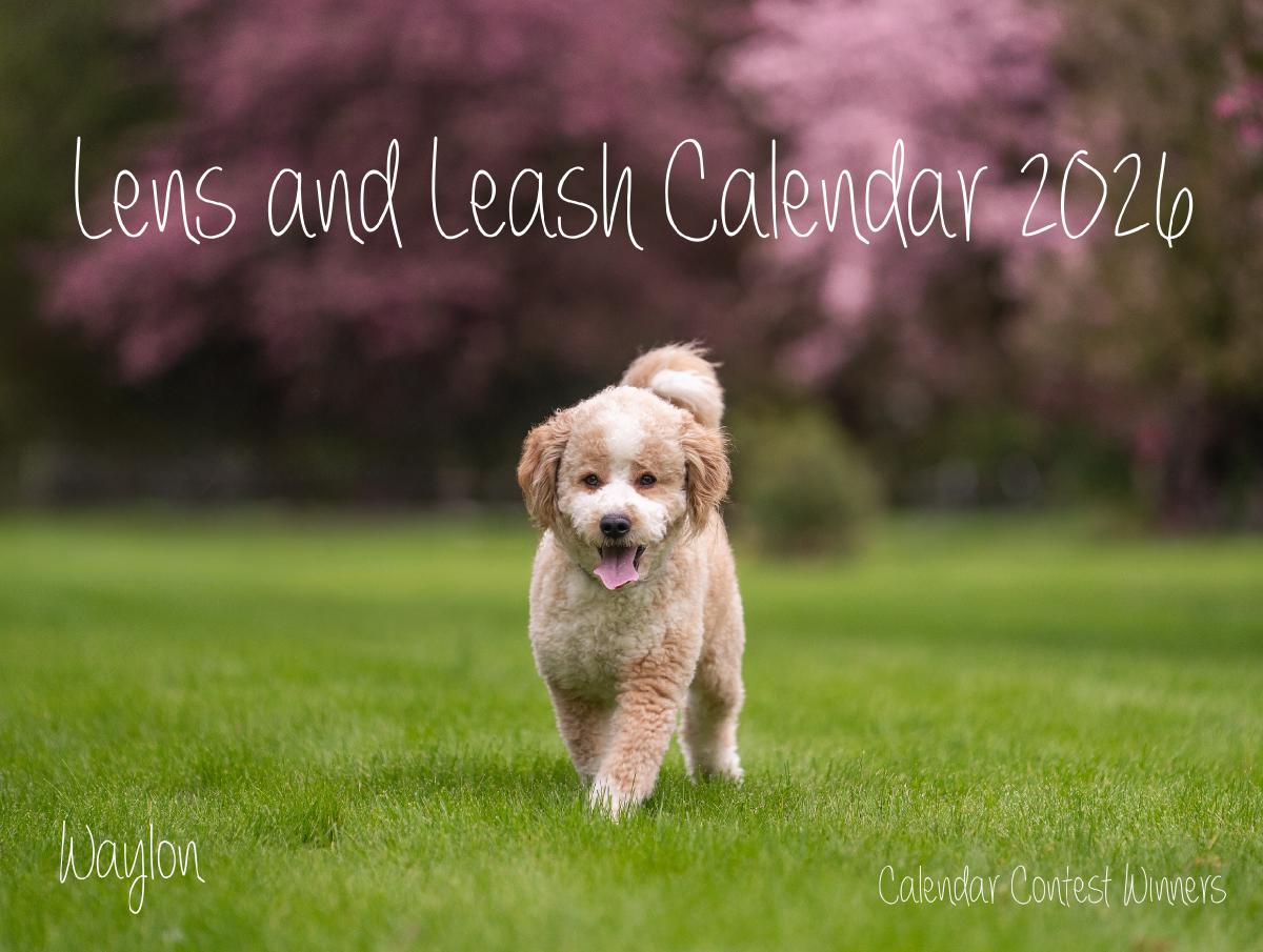 2025 Dog Calendar Contest (for 2026)