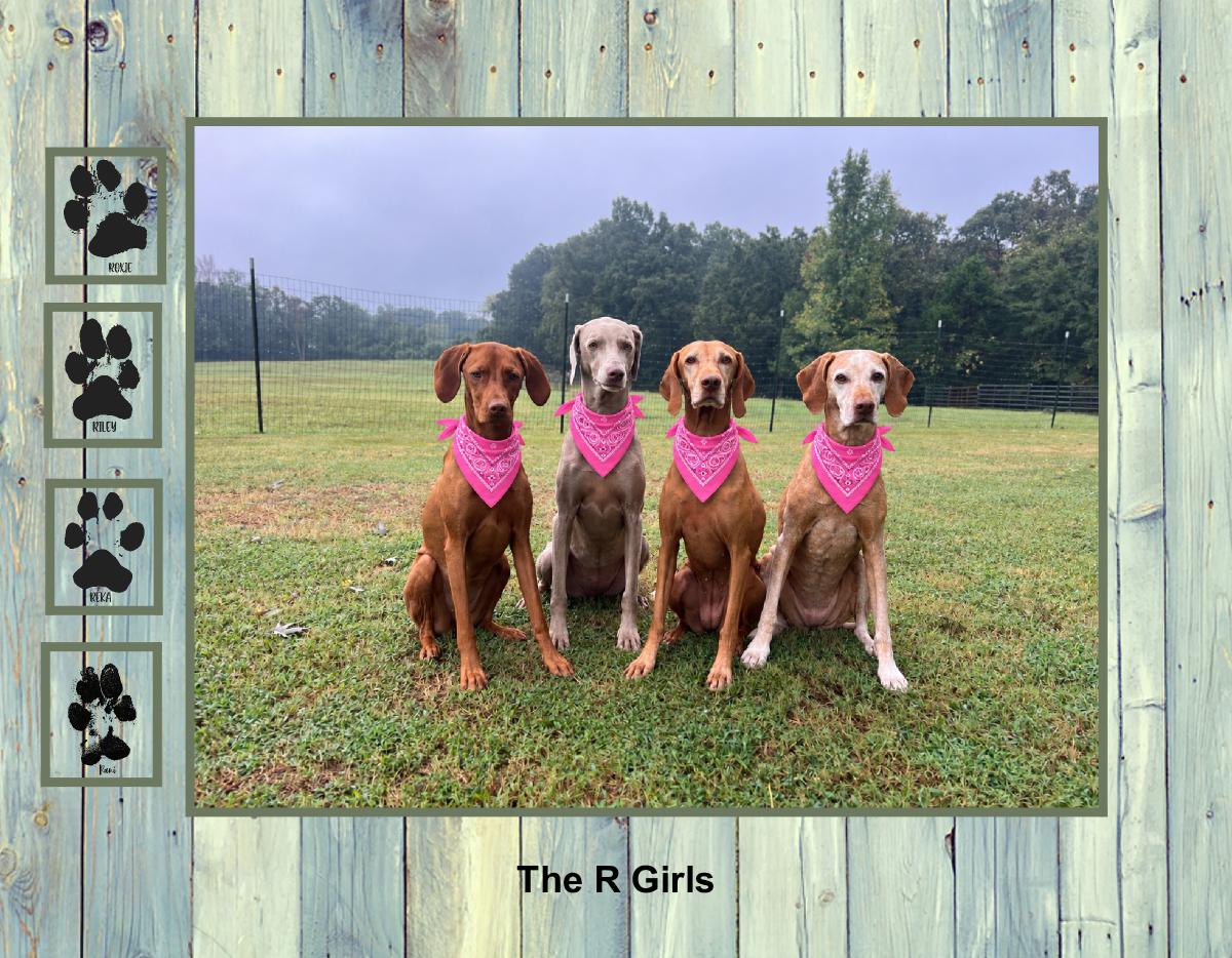 The R Girls 2027 Calendar