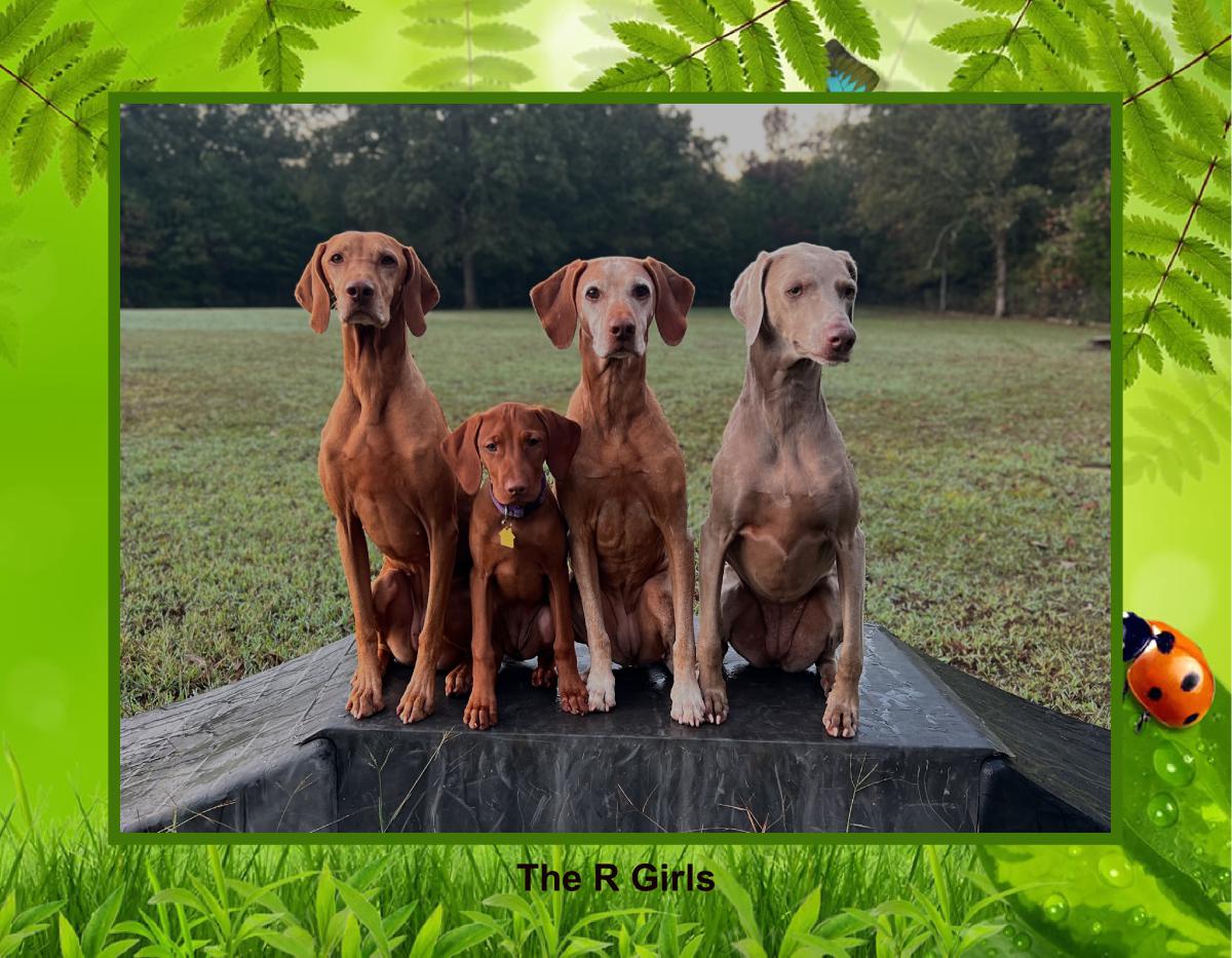 The R Girls 2026 Calendar