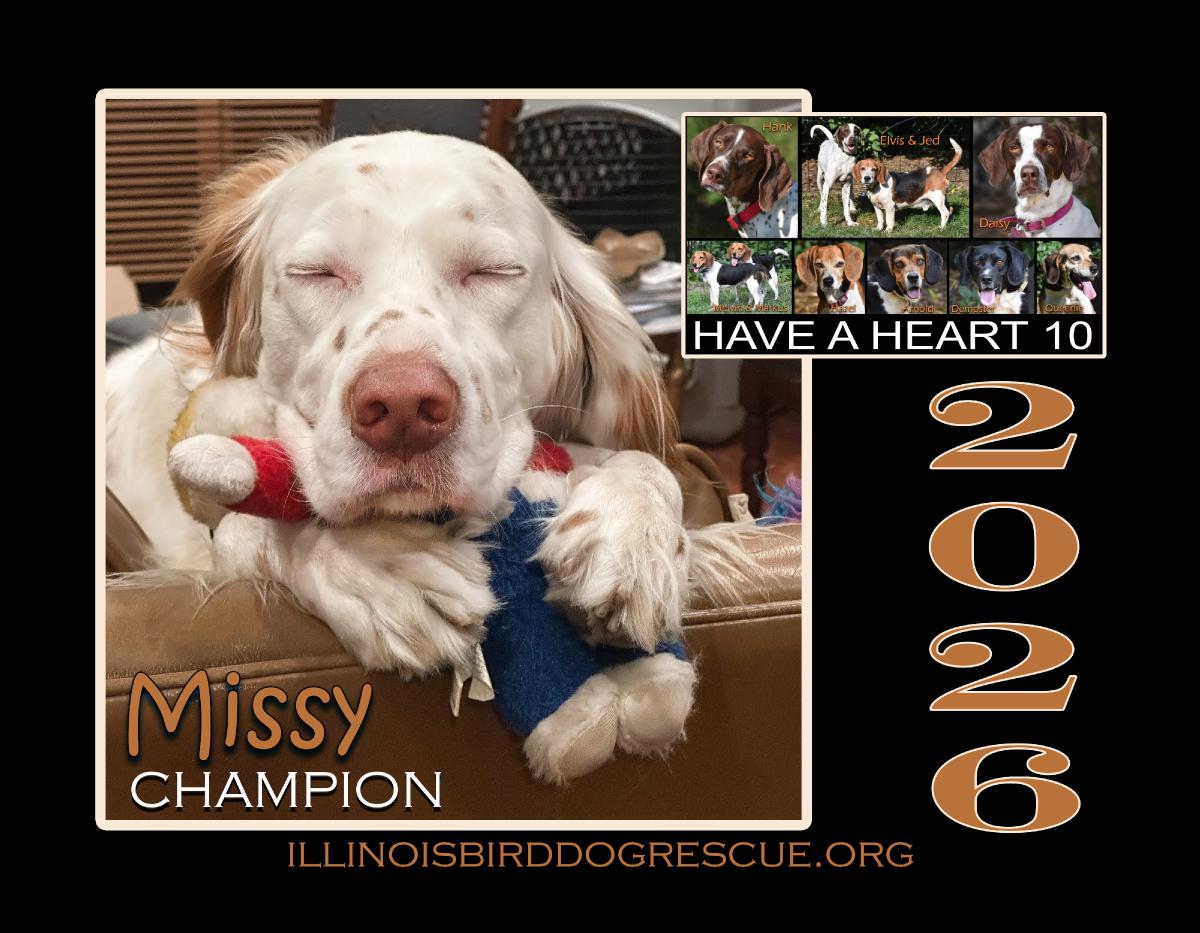 Have A Heart 10 Fundraising Calendar