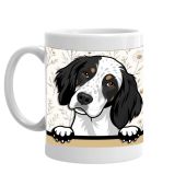Beverley- Life is better with an English Setter