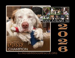 Have A Heart 10 Fundraising Calendar