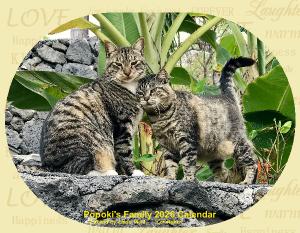 Popoki's Family 2026 Calendar