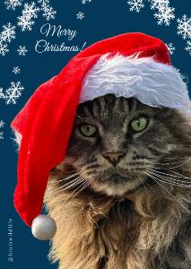 Louis Christmas Card Nr 9