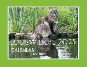 LouisWildlife 2025 Calendar
