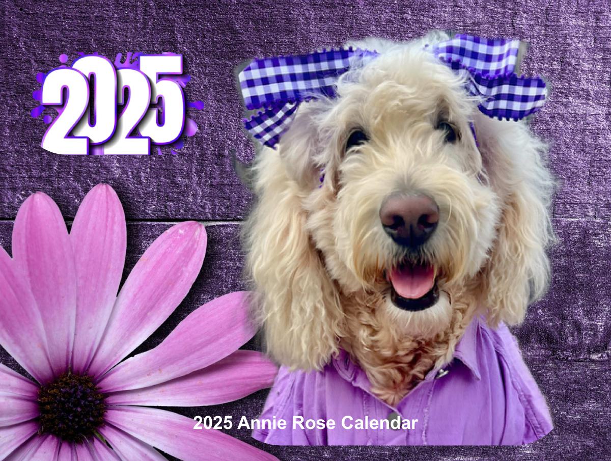 2025 Annie Rose Goldendoodle