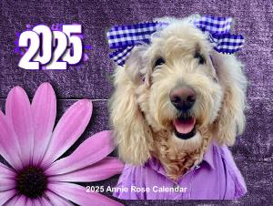 2025 Annie Rose Goldendoodle